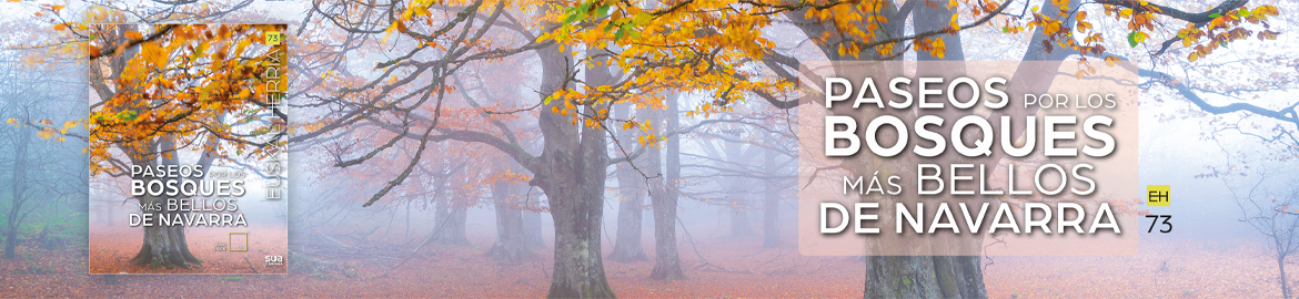 Paseos por los bosques de Navarra